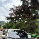 더피아노 | 평창동 산속 카페 물과 음악이 흐르는 더피아노 후기