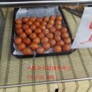 수원전자담배하우스 네이버블로그