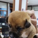 태민동물병원 이미지