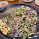낭낭오리왕지점 이미지