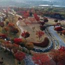 내장산 단풍생태공원 이미지