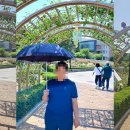 조선대(장미원) 이미지