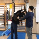 바른몸자세교정센터