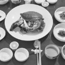 양지-3366 이미지