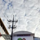 반송시장 이미지