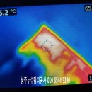 아리랑로. 이미지