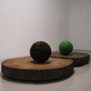 인공 + 자연 이미지