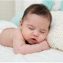 핑거소프트 | 우리 아기 꿀잠 책임지는 팬티기저귀 추천: 그린핑거 라라소프트 솔직 후기