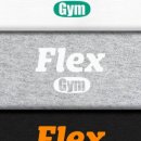 Flex Gym 네이버블로그