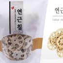 월드씨앗건강 이미지