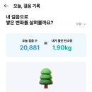 대설광주