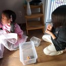 슬아어린이집 이미지