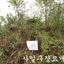 여주-0783 이미지