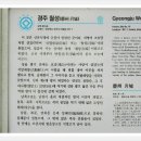 보불로(서) 티스토리