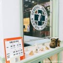 대전종합 동물병원 이미지