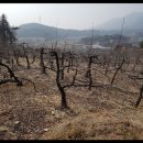 성곡리농로 이미지