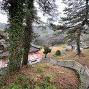 매화공원 이미지