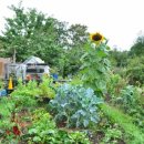 가든키친(Garden Kitchen) 이미지