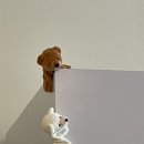 마론과자점 이미지