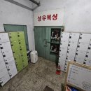상우복싱체육관 이미지