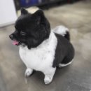 멍멍's 연구소 이미지