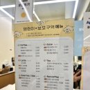 댕린이 보호구역 이미지