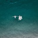 가족축사 이미지