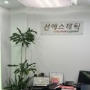 청아토한약국 이미지