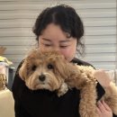 라라관푸드 이미지