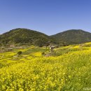 슬로시티청산도 이미지
