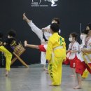 사계절 태권도 이미지