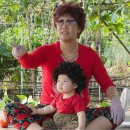 헤이지니 이미지