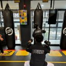 브이태권도장 이미지