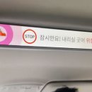 벙커키즈 이미지