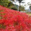 모악보건진료소 이미지