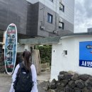제주표선서핑스쿨 이미지