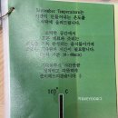 셉템버 | 성수 비건 브런치 카페 ‘셉템버 템퍼쳐 9월의온도’ 후기 | 성수동
