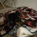 만들기교실 | 임산부 일기 : 문경시 보건소 임산부교실 참여후기_ 빼빼로 만들기