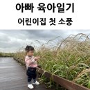 소풍(동행) | 아빠 육아일기 우리 딸 어린이집 명촌교 억새풀 첫 가을 소풍