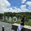 블랙이쉬레드 | [제주여행]제주 애월 분위기 좋은 대형카페 밀크티전문 프라이빗한 숲속카페| 블랙이쉬레드