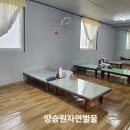 차령짬뽕 | 공주 현지인 짬뽕 냉짬뽕 맛집 차령짬뽕 내돈내산