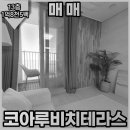 영진아파트 앞 1 이미지