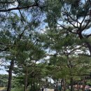 바이킹 | 제천 의림지 산책하다 바이킹까지 즐긴 여행 후기
