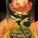 견생상점
