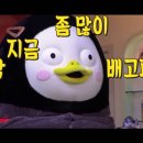 김초생초