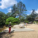 마곡사경내 이미지