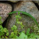 민속마을 이미지