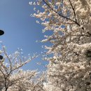 당현천 화장실 이미지