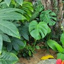 지티행정사사무소 이미지