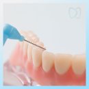 참진디지털치과의원 이미지